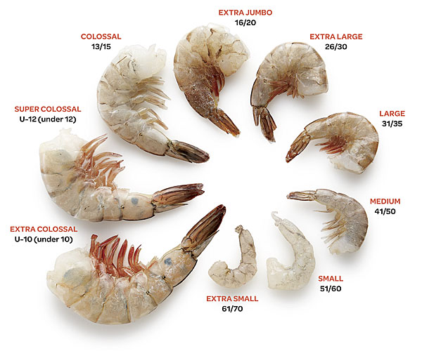 Shrimp Chart